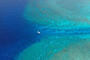 利物浦发布对南安普顿海报：加克波C位，范迪克、布拉德利出镜